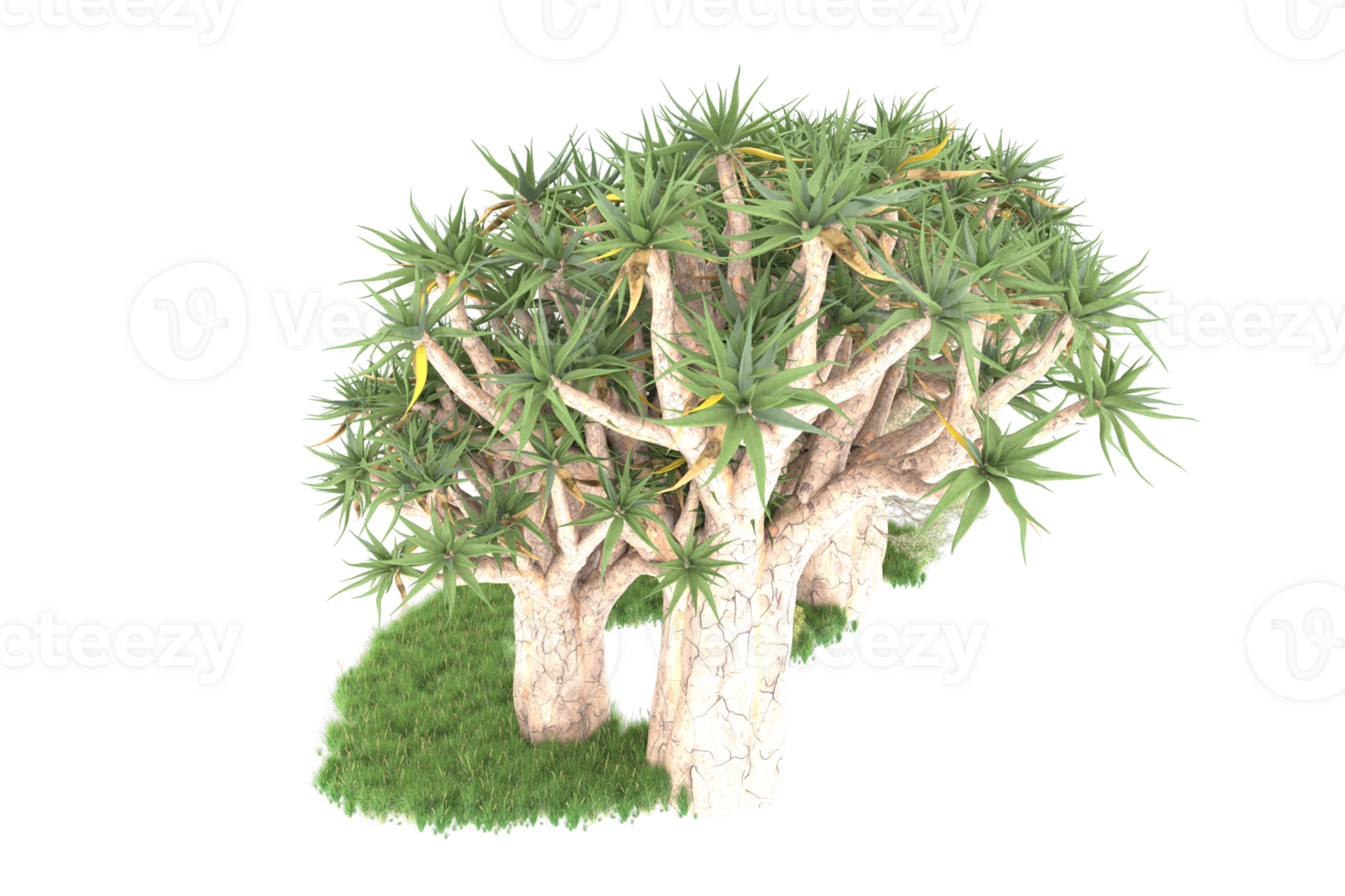 Realistic forest isolated on transparent background. 3d rendering - illustration png