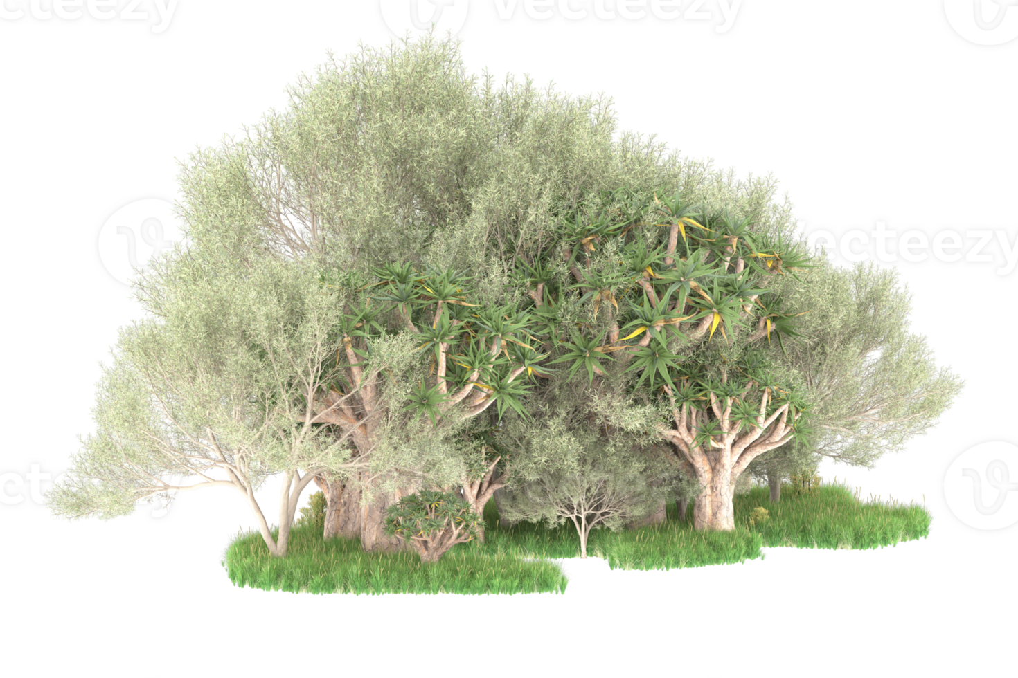 Realistic forest isolated on transparent background. 3d rendering - illustration png