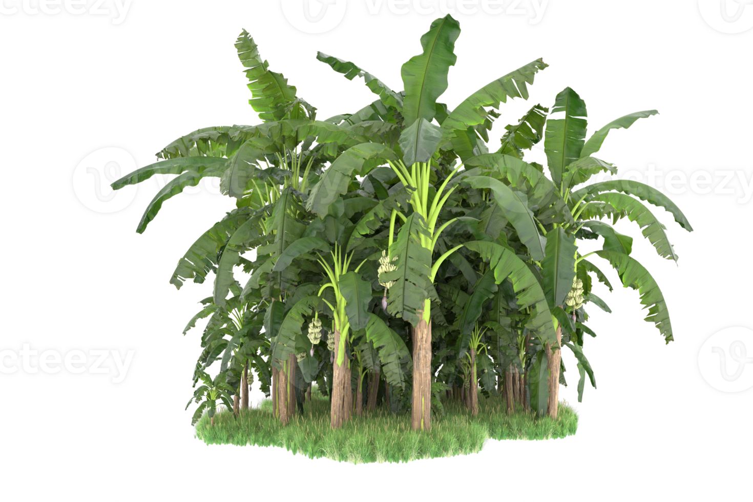 Realistic forest isolated on transparent background. 3d rendering - illustration png