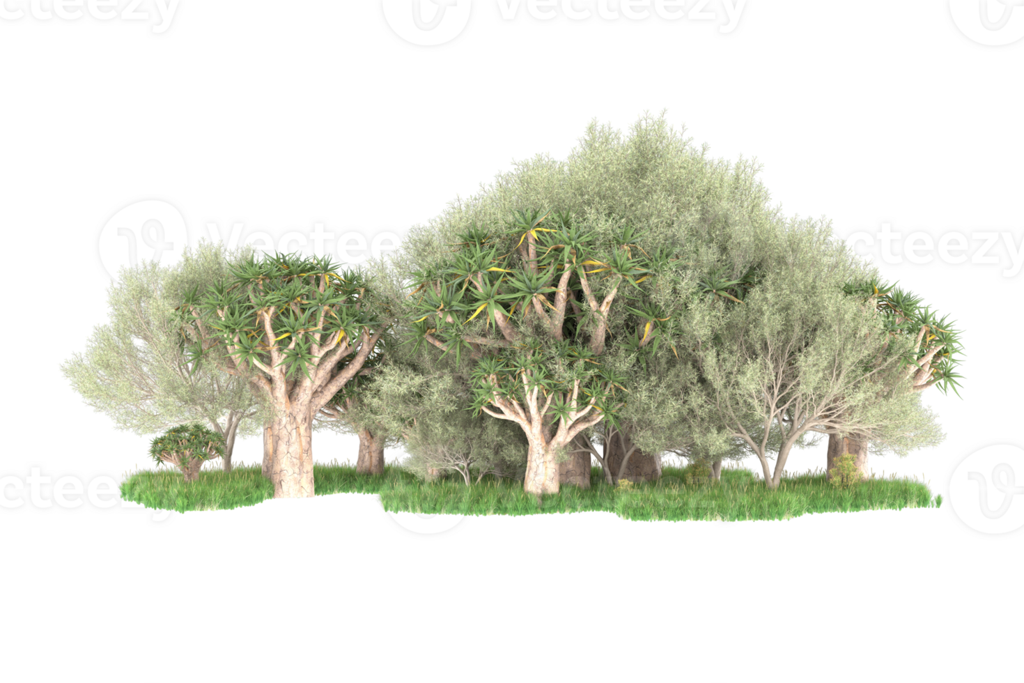 Realistic forest isolated on transparent background. 3d rendering - illustration png