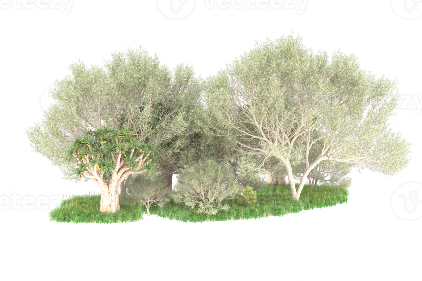 Realistic forest isolated on transparent background. 3d rendering - illustration png
