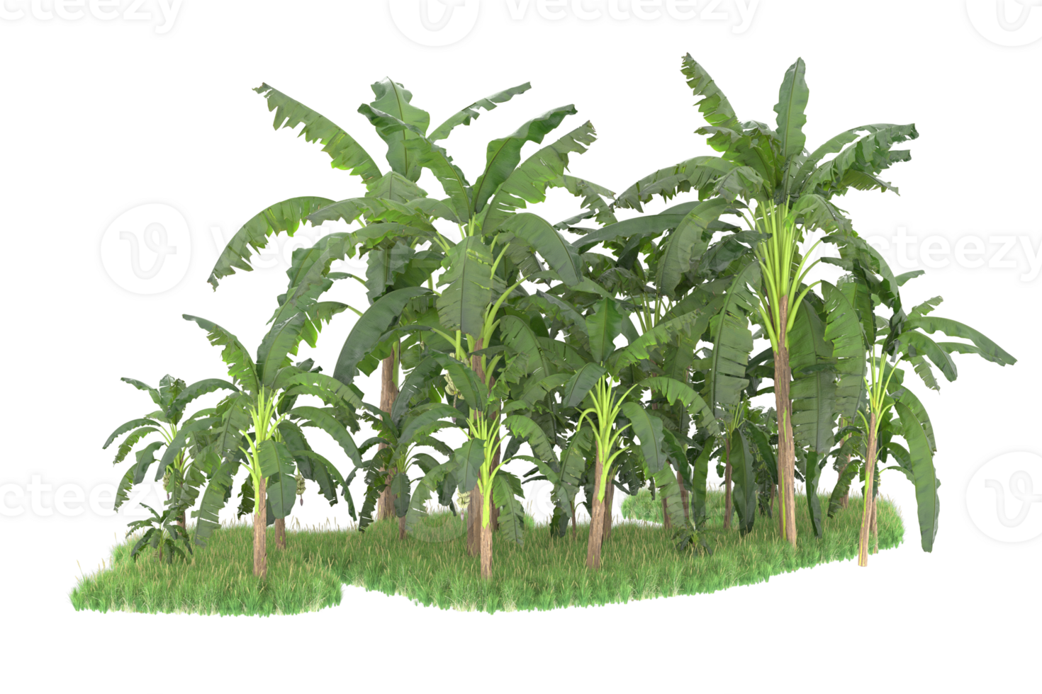 Realistic forest isolated on transparent background. 3d rendering - illustration png