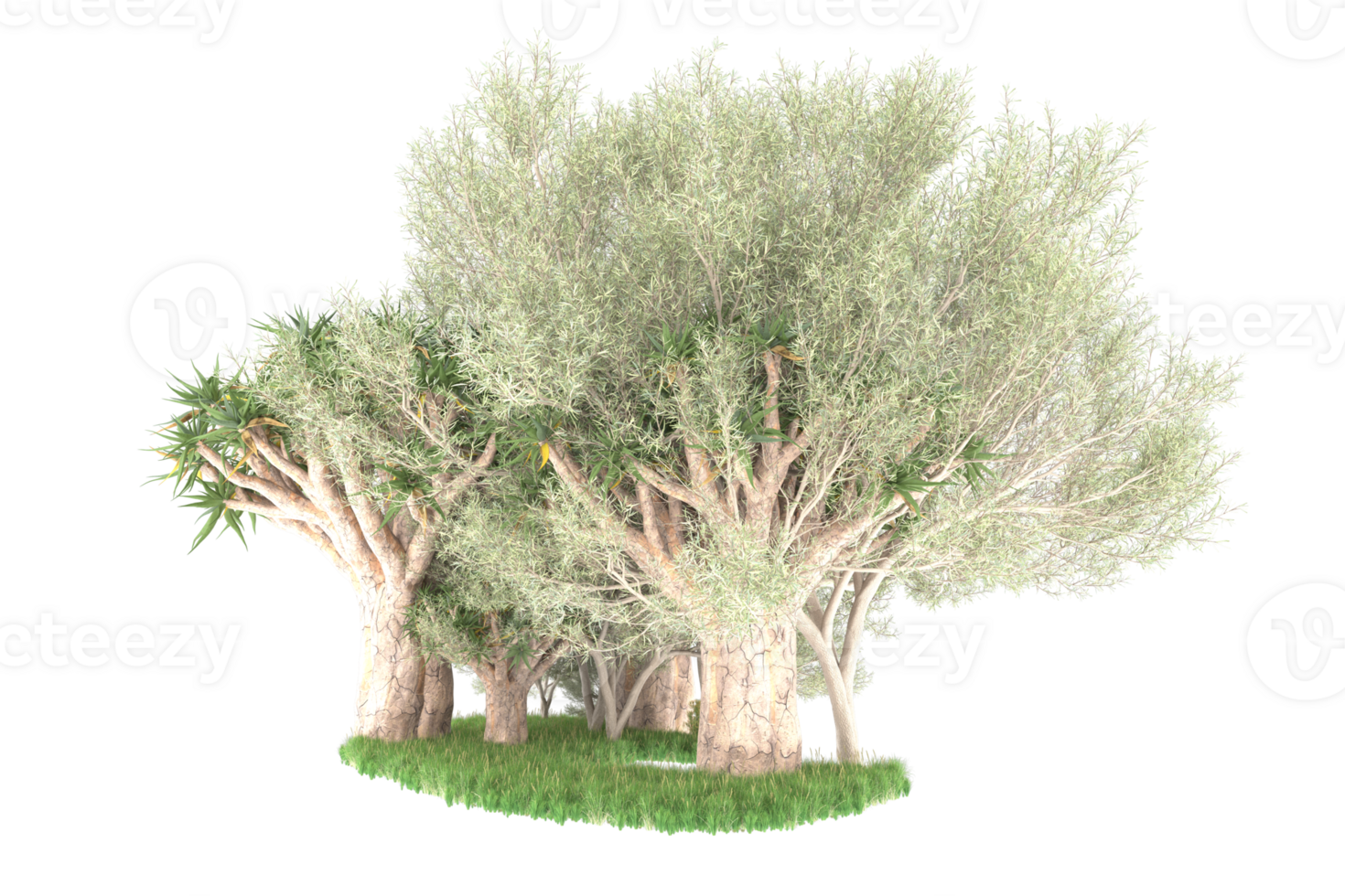 Realistic forest isolated on transparent background. 3d rendering - illustration png