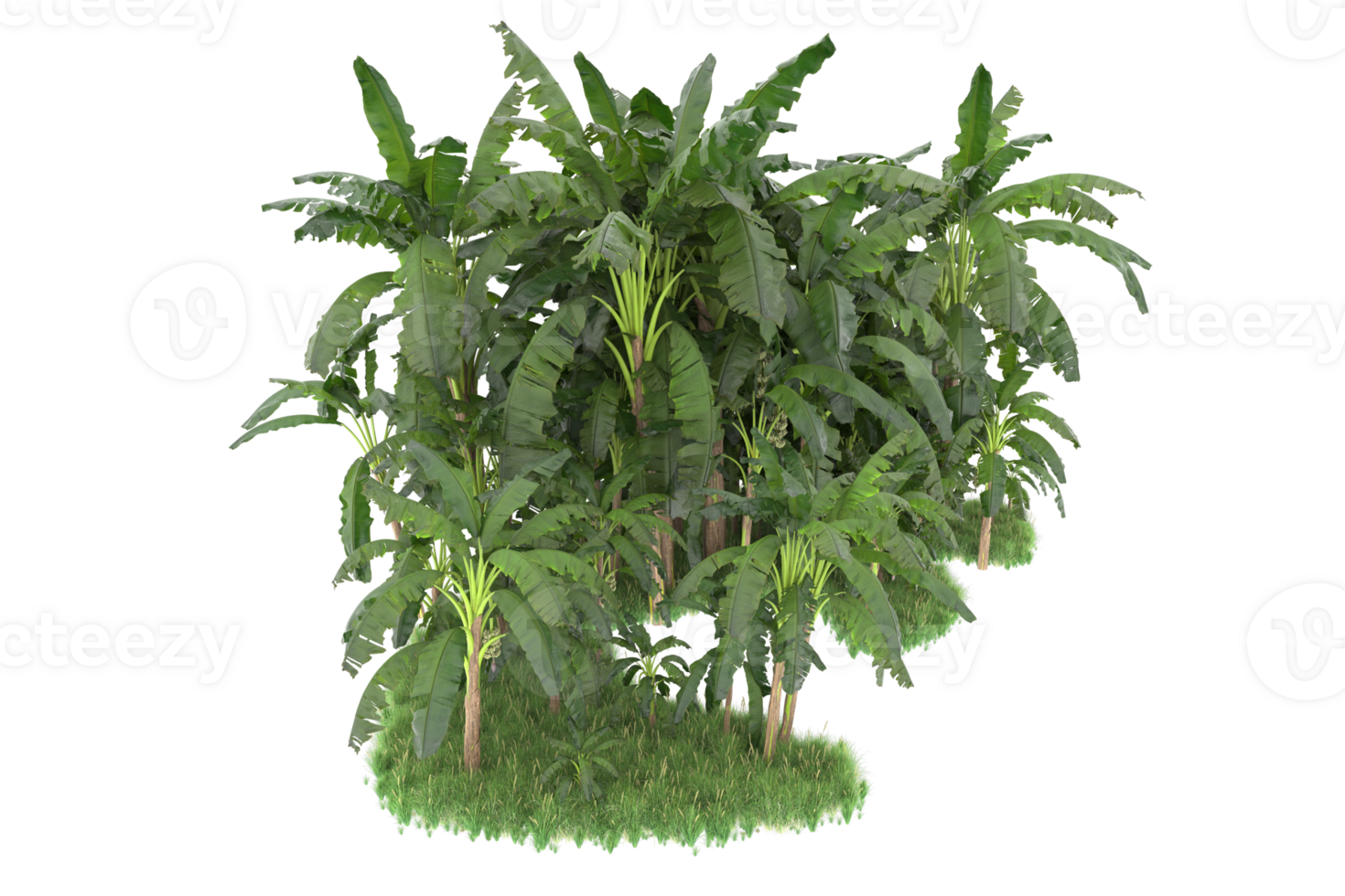 Realistic forest isolated on transparent background. 3d rendering - illustration png