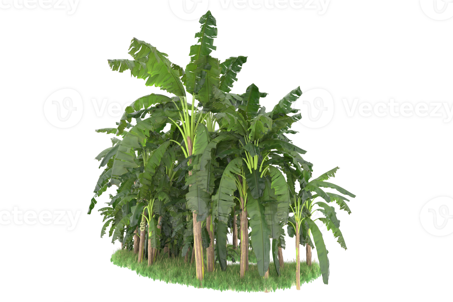 Realistic forest isolated on transparent background. 3d rendering - illustration png