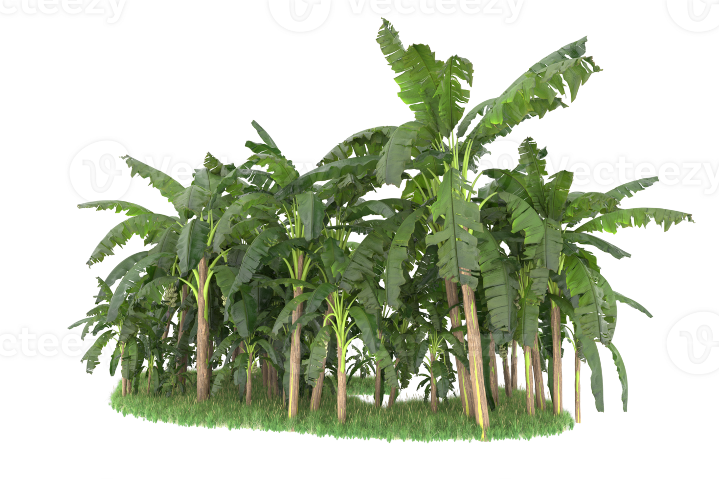Realistic forest isolated on transparent background. 3d rendering - illustration png