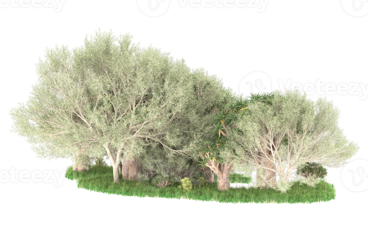 Realistic forest isolated on transparent background. 3d rendering - illustration png