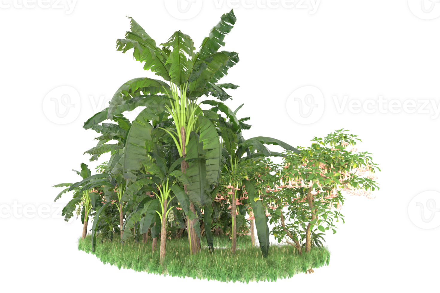Realistic forest isolated on transparent background. 3d rendering - illustration png