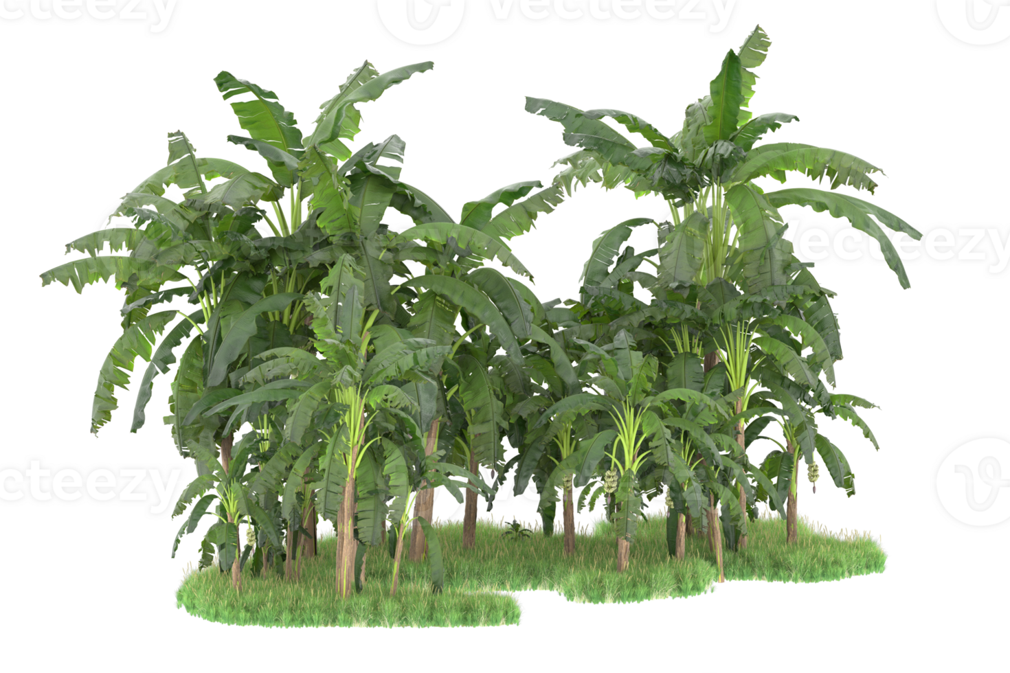 Realistic forest isolated on transparent background. 3d rendering - illustration png