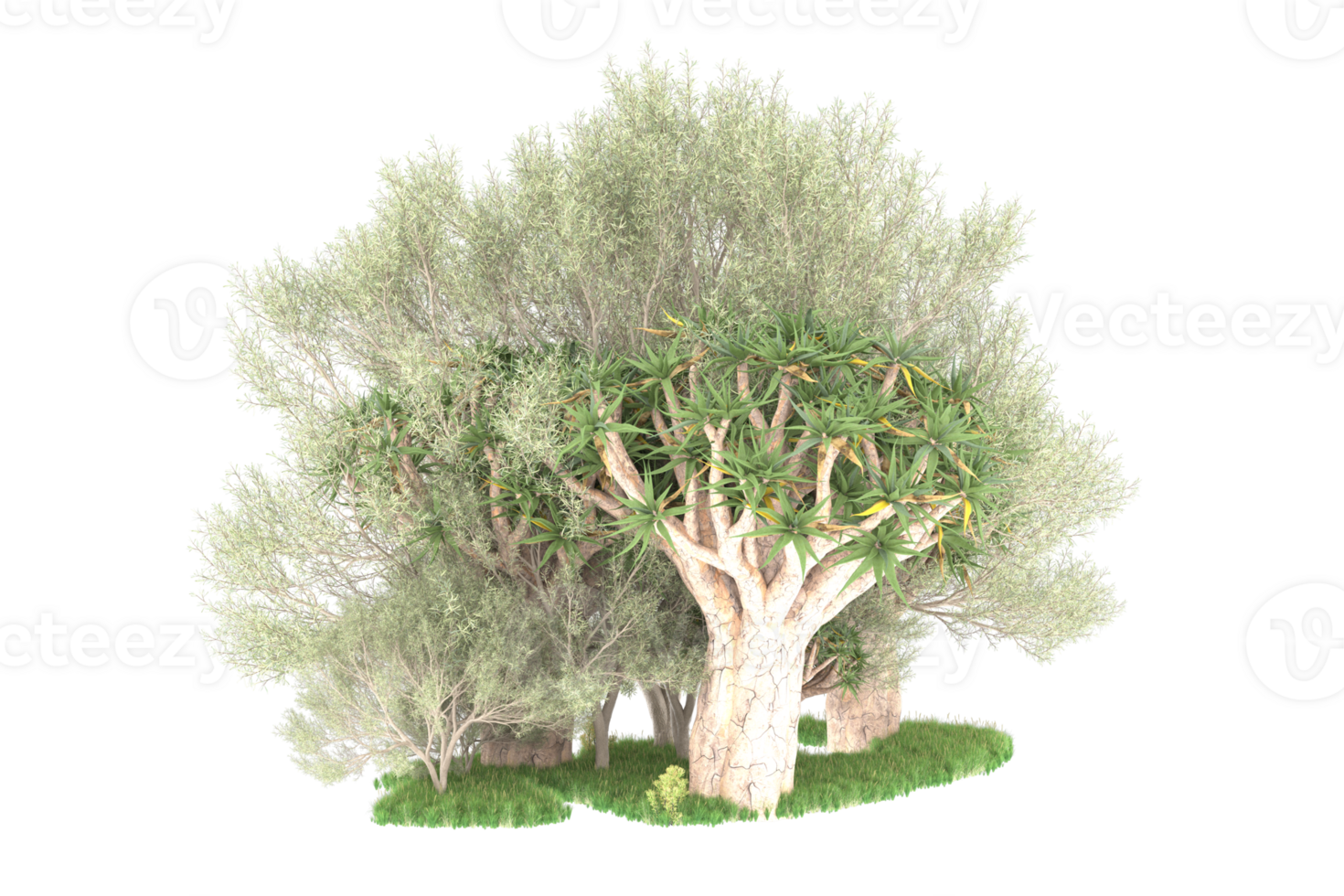 Realistic forest isolated on transparent background. 3d rendering - illustration png