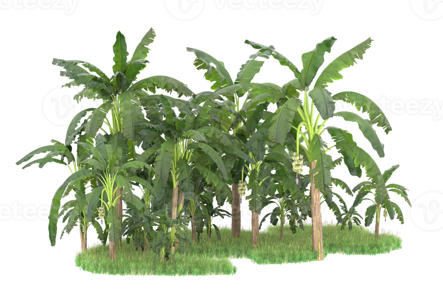 Realistic forest isolated on transparent background. 3d rendering - illustration png