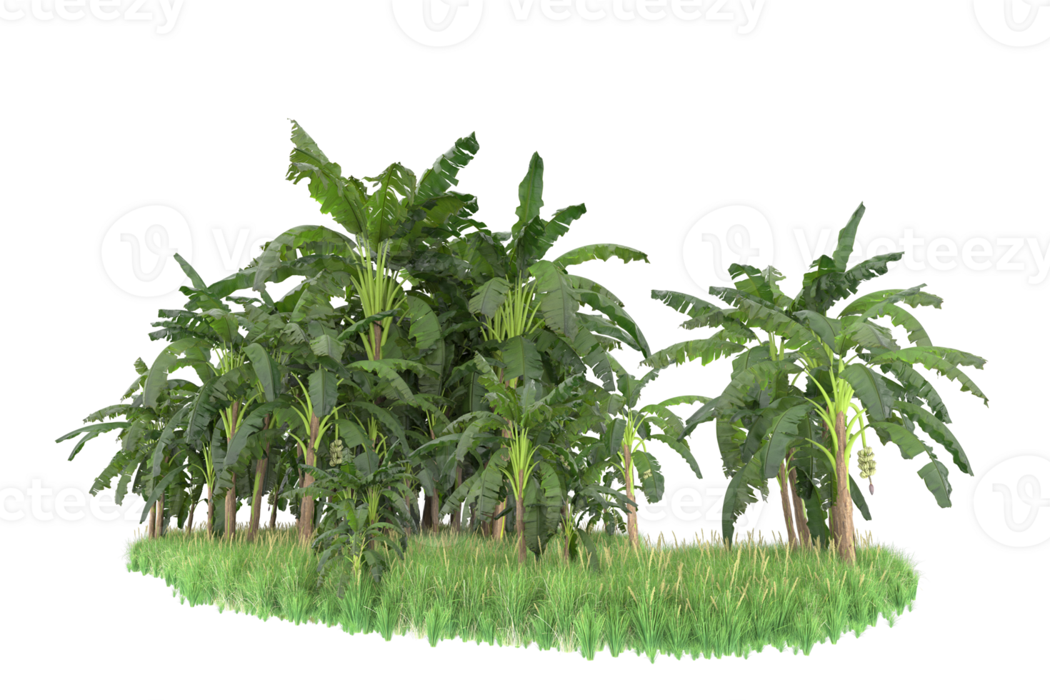 Realistic forest isolated on transparent background. 3d rendering - illustration png