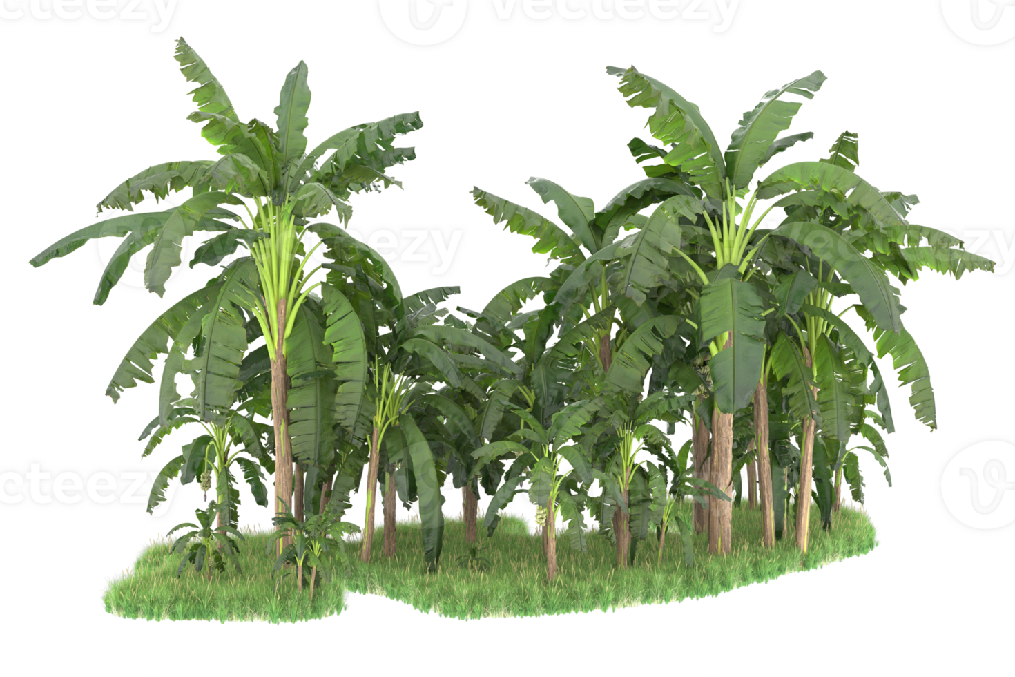 Realistic forest isolated on transparent background. 3d rendering - illustration png