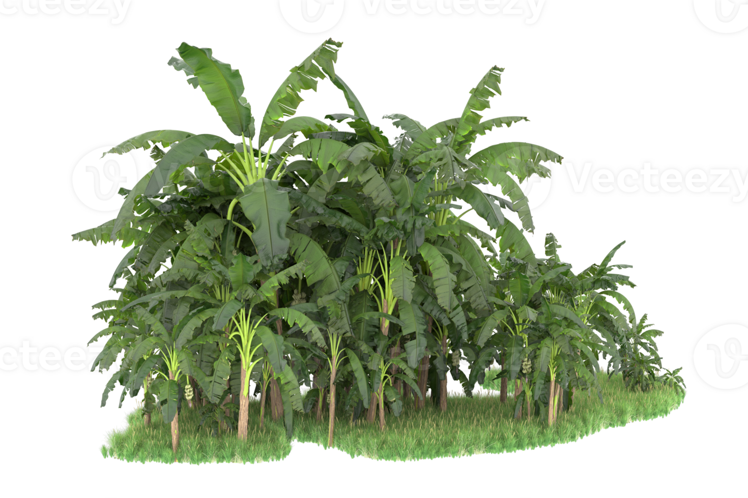 Realistic forest isolated on transparent background. 3d rendering - illustration png