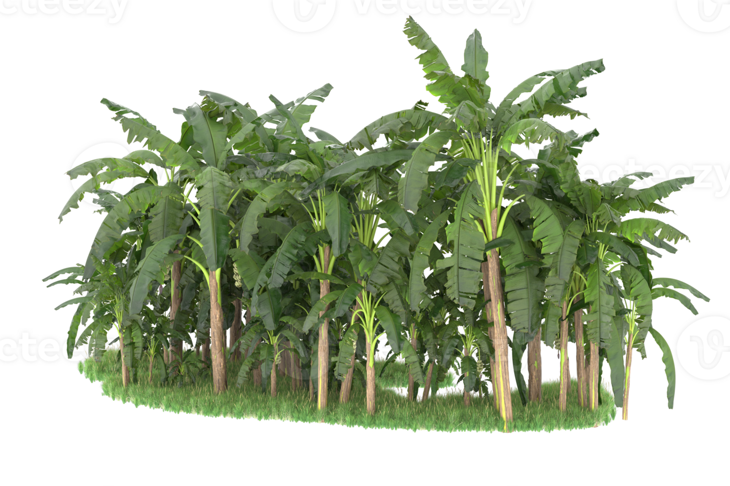 Realistic forest isolated on transparent background. 3d rendering - illustration png