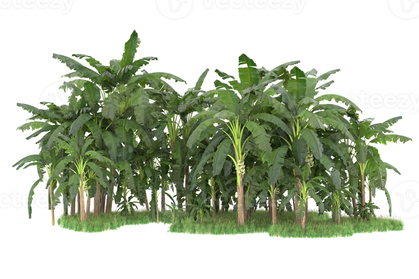 Realistic forest isolated on transparent background. 3d rendering - illustration png