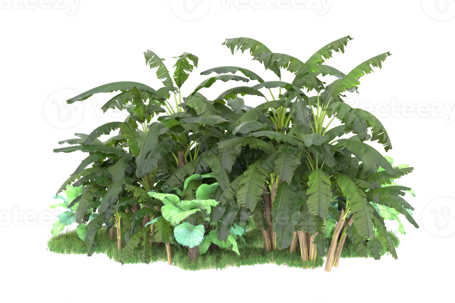Realistic forest isolated on transparent background. 3d rendering - illustration png