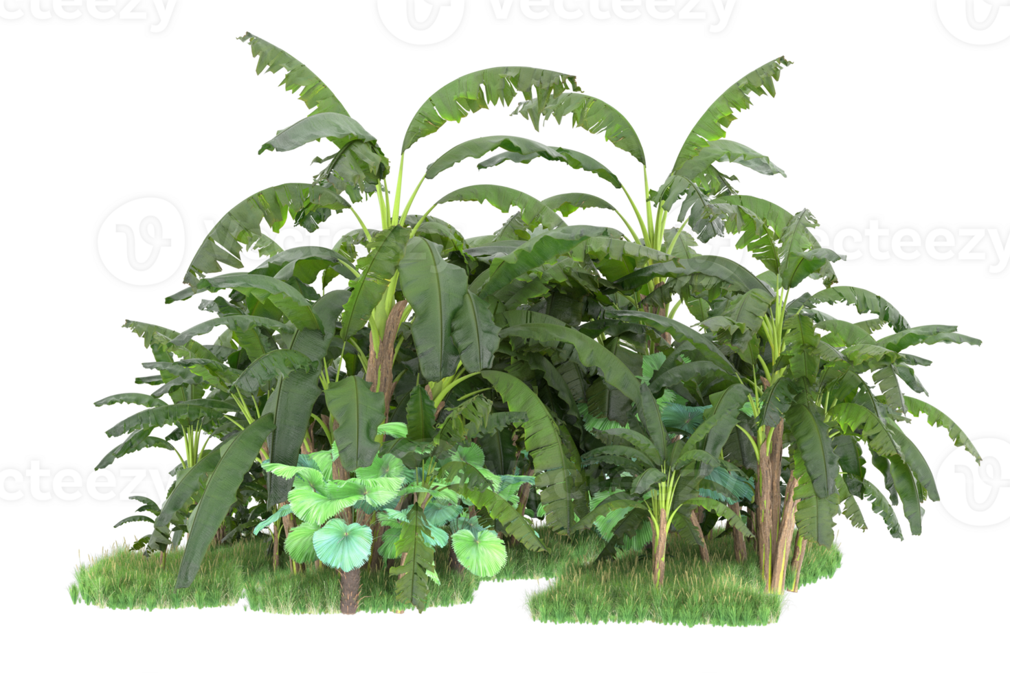 Realistic forest isolated on transparent background. 3d rendering - illustration png