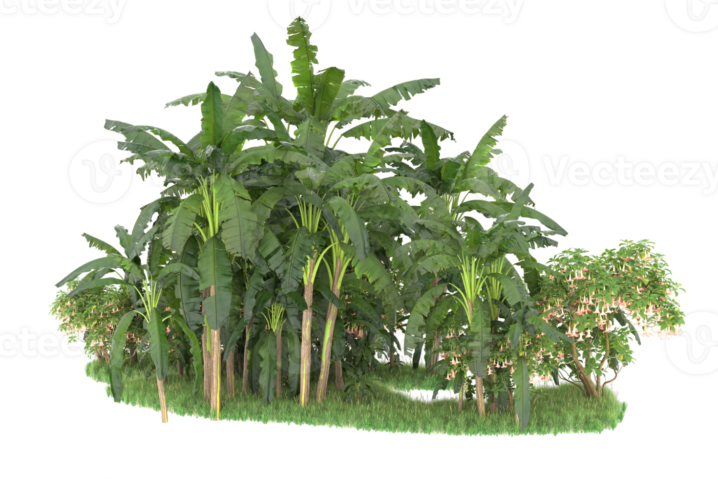 Realistic forest isolated on transparent background. 3d rendering - illustration png