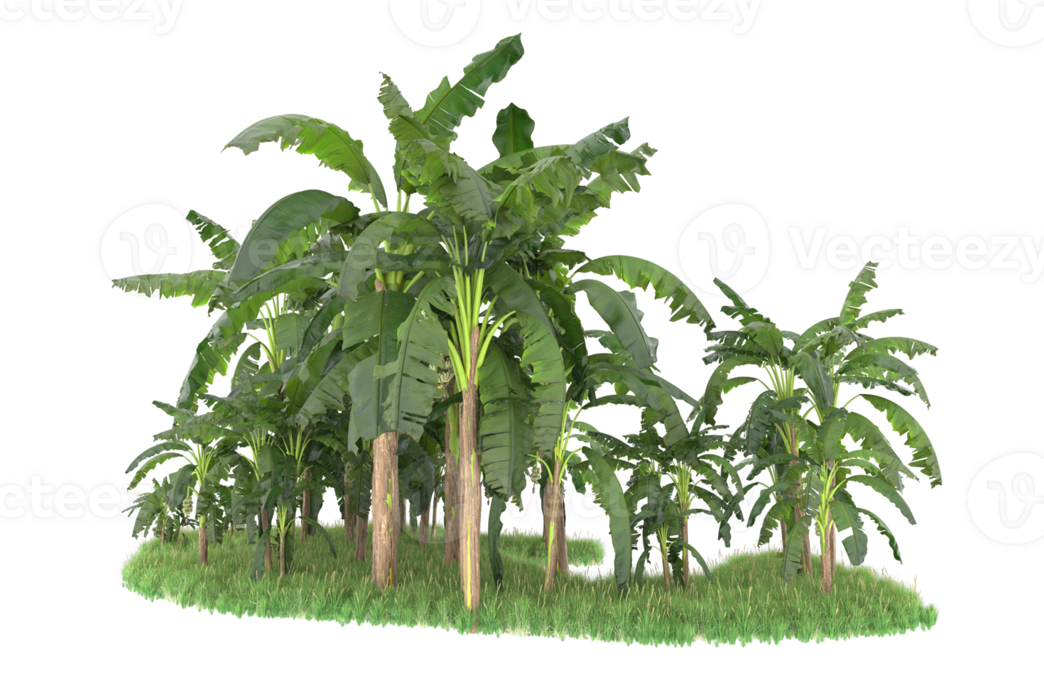 Realistic forest isolated on transparent background. 3d rendering - illustration png