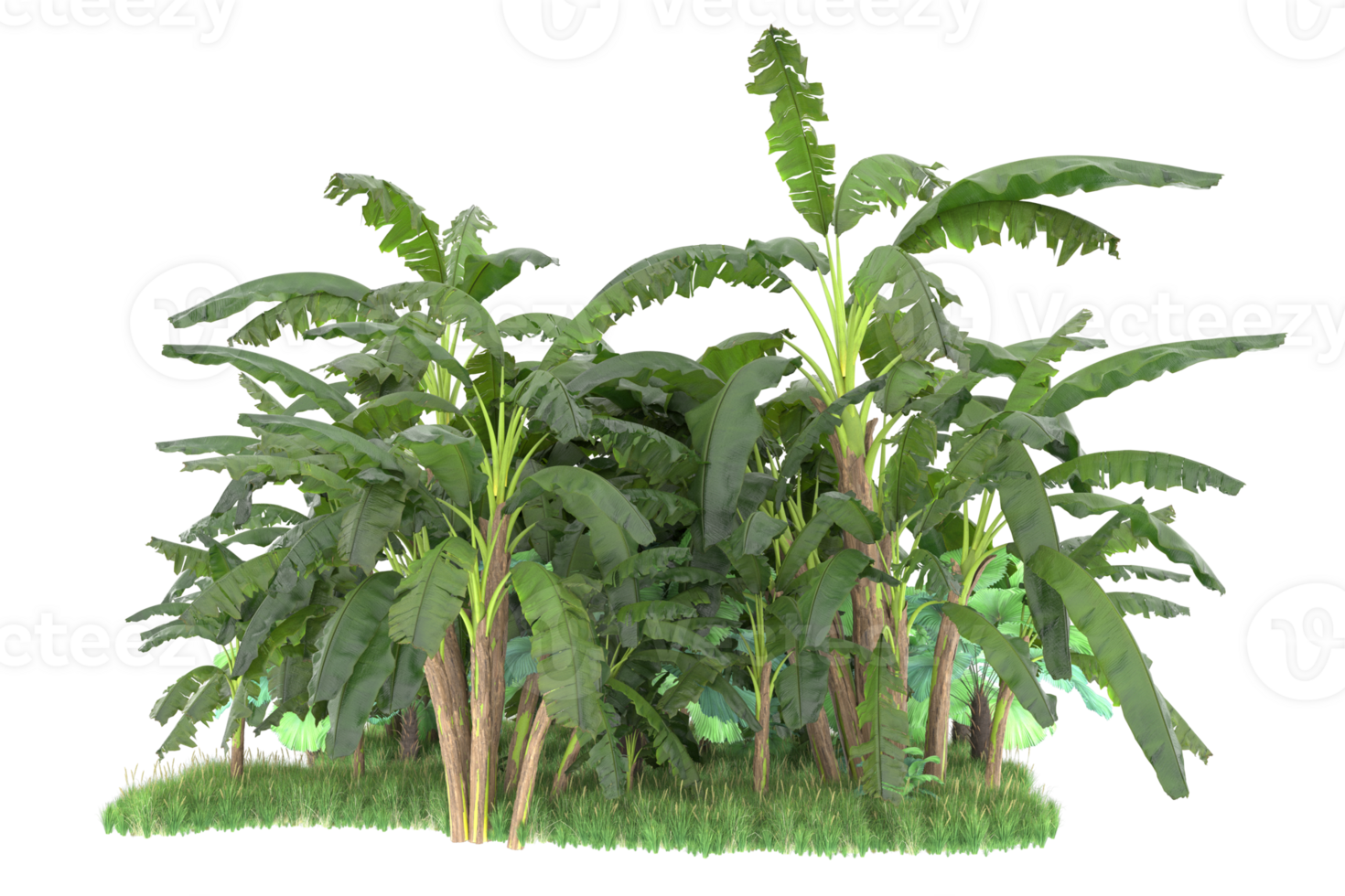 Realistic forest isolated on transparent background. 3d rendering - illustration png