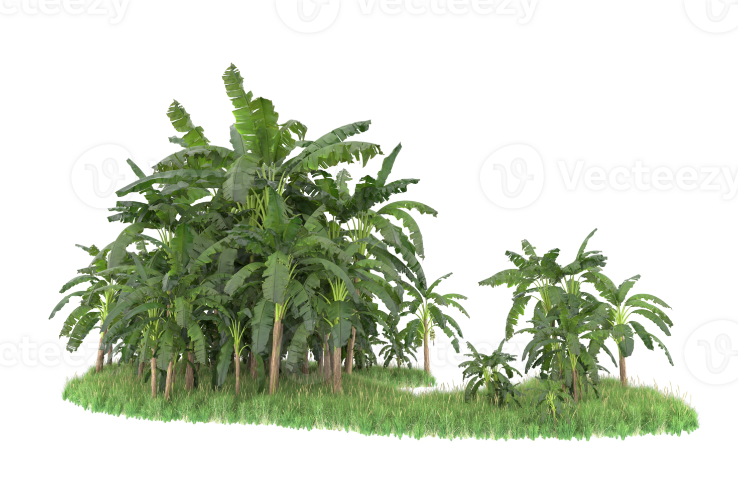 Realistic forest isolated on transparent background. 3d rendering - illustration png