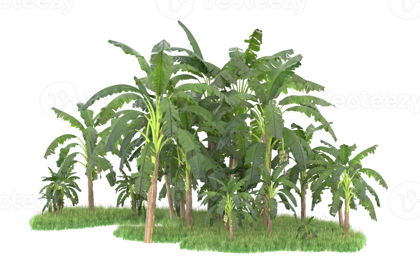 Realistic forest isolated on transparent background. 3d rendering - illustration png