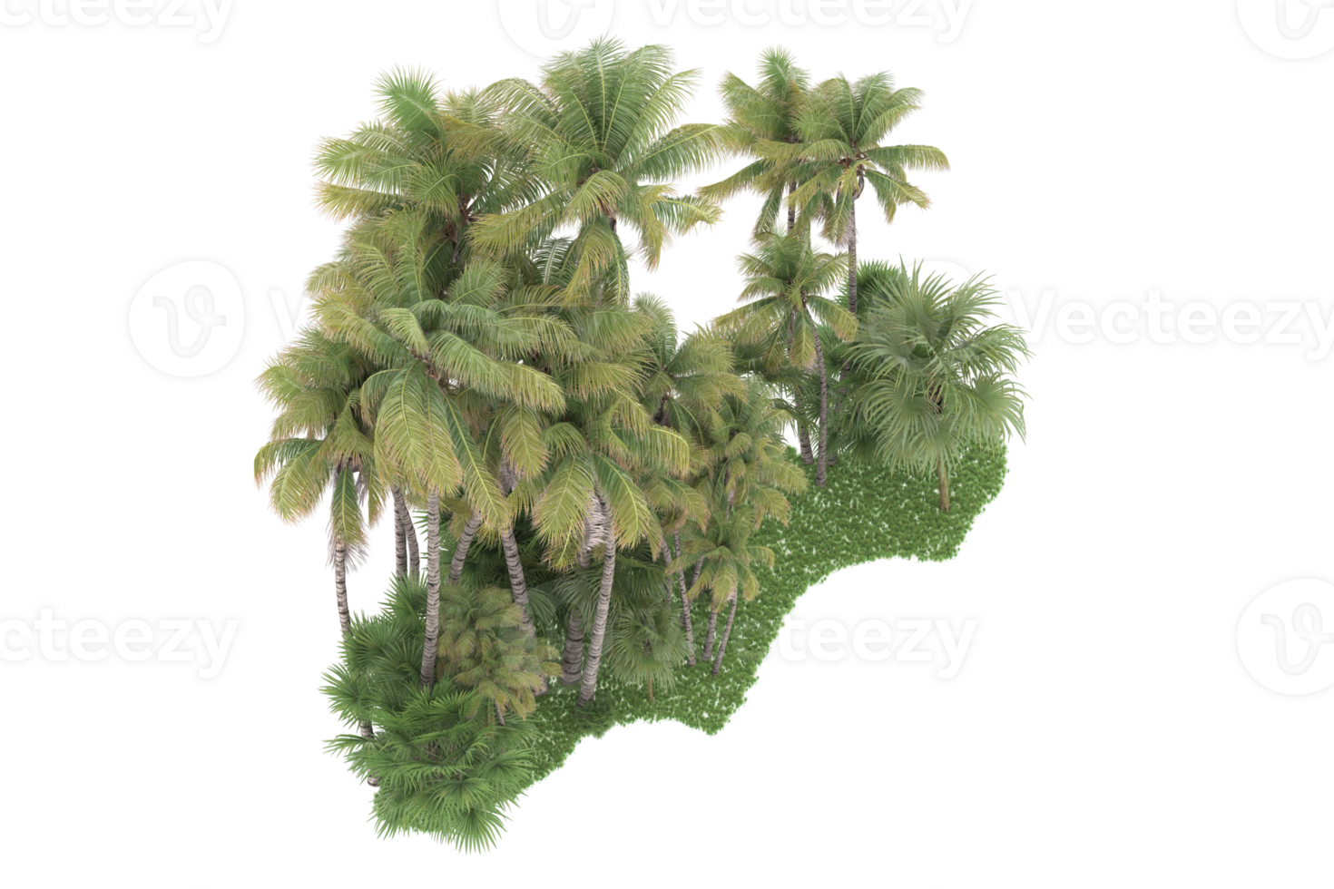 Realistic forest isolated on transparent background. 3d rendering - illustration png