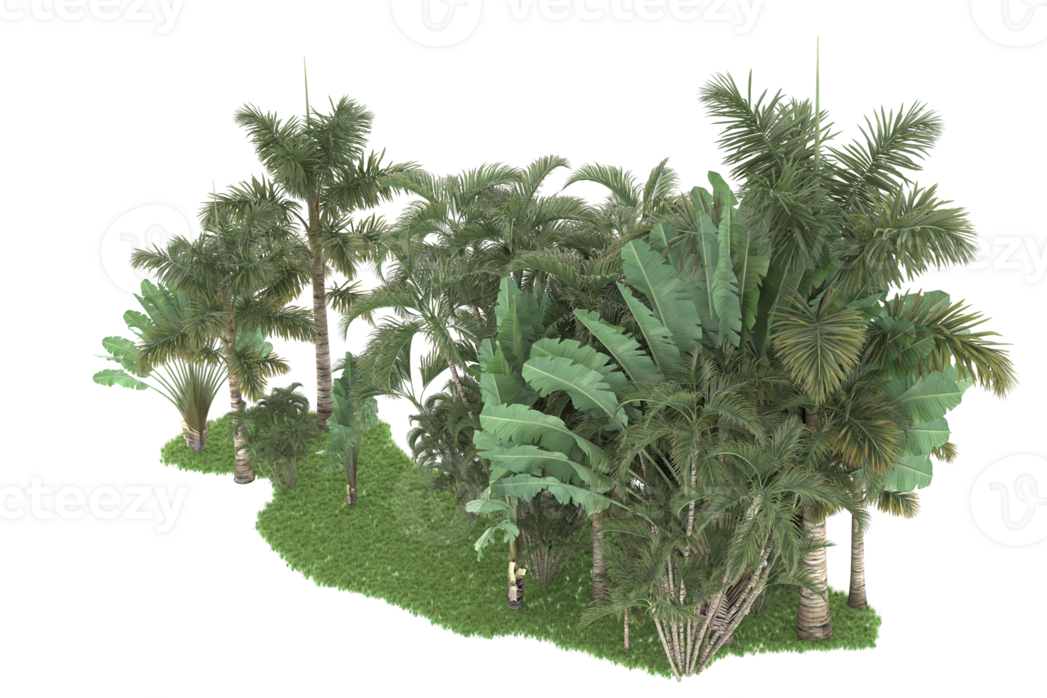 Realistic forest isolated on transparent background. 3d rendering - illustration png