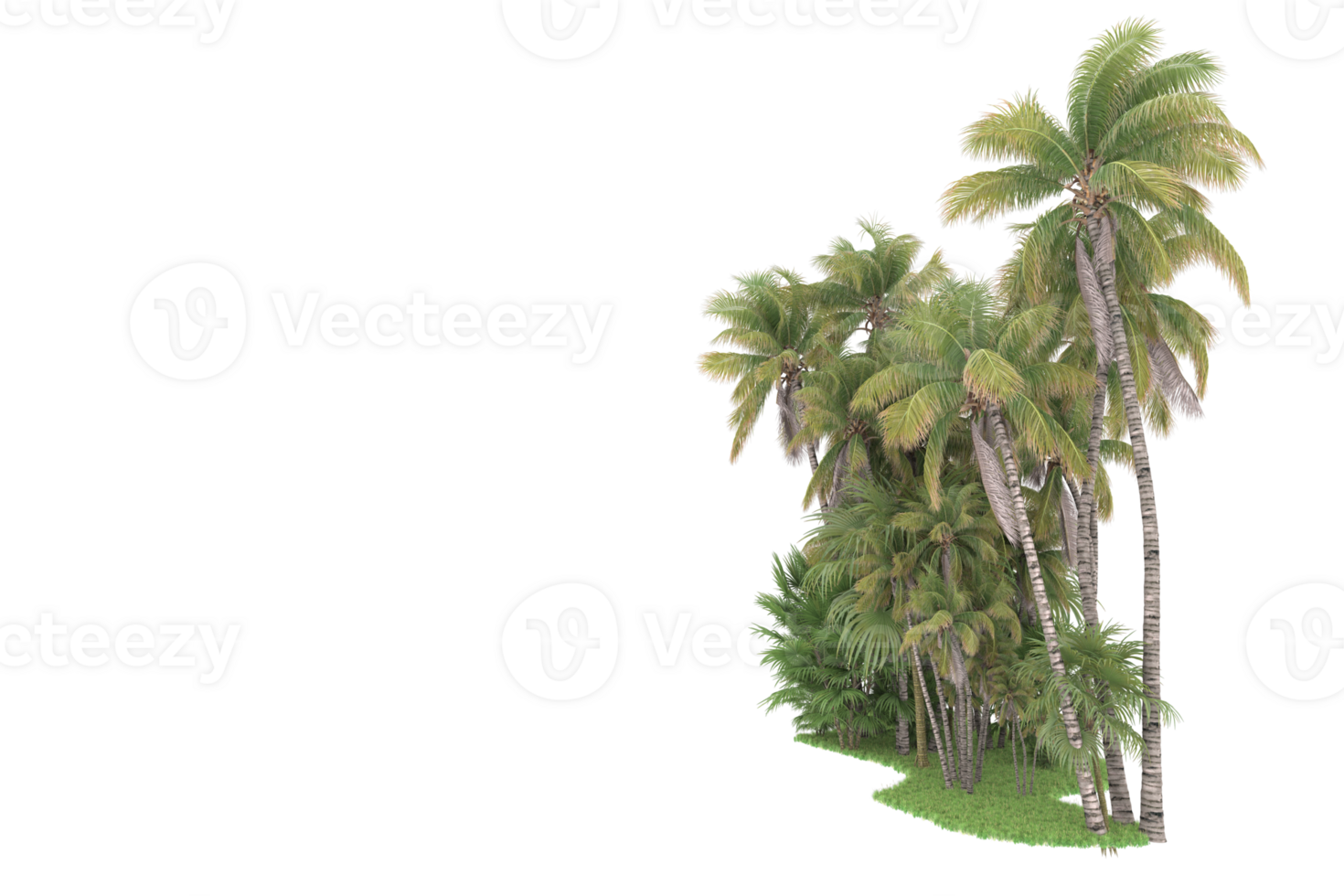 Realistic forest isolated on transparent background. 3d rendering - illustration png