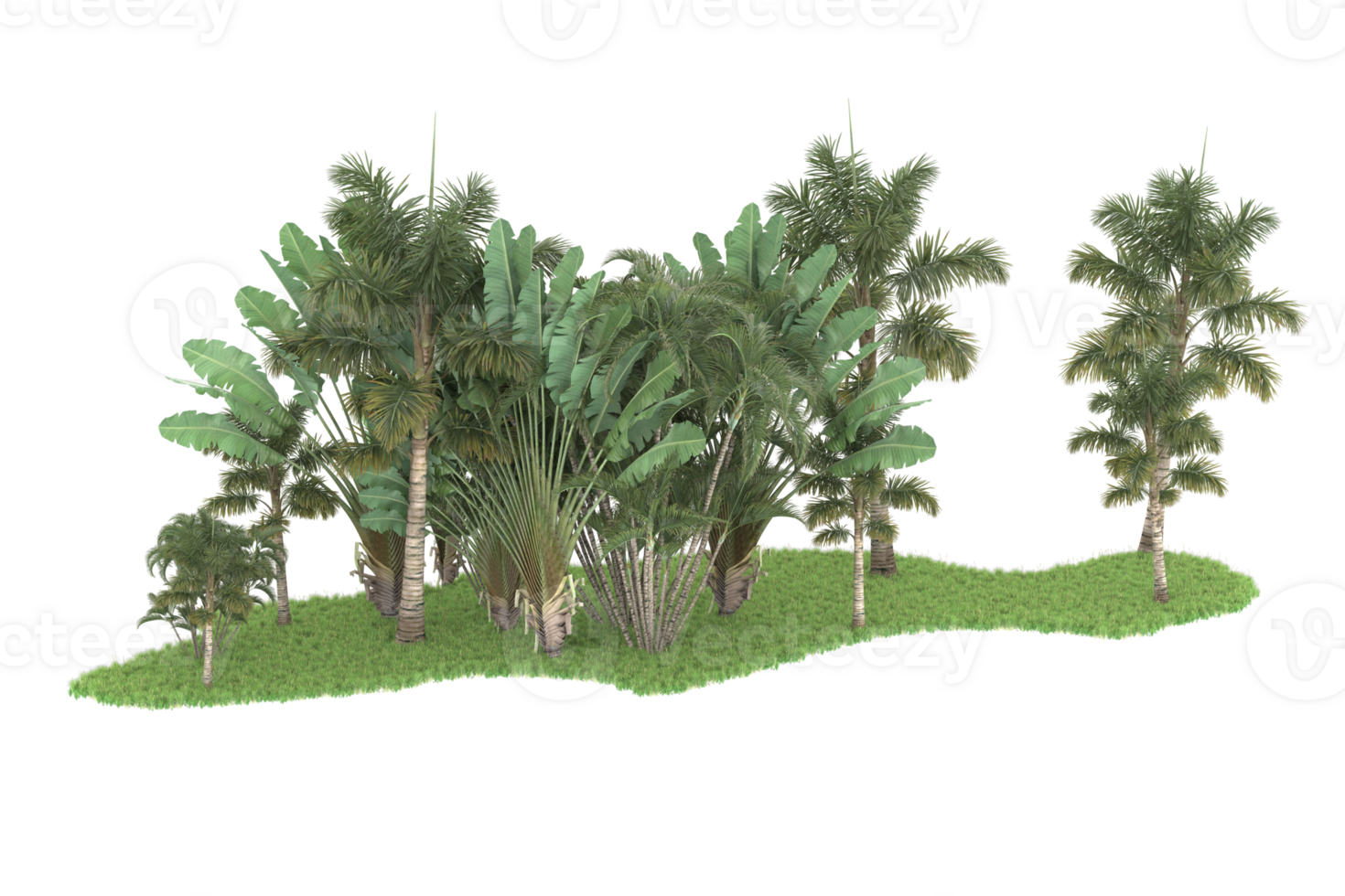 Realistic forest isolated on transparent background. 3d rendering - illustration png