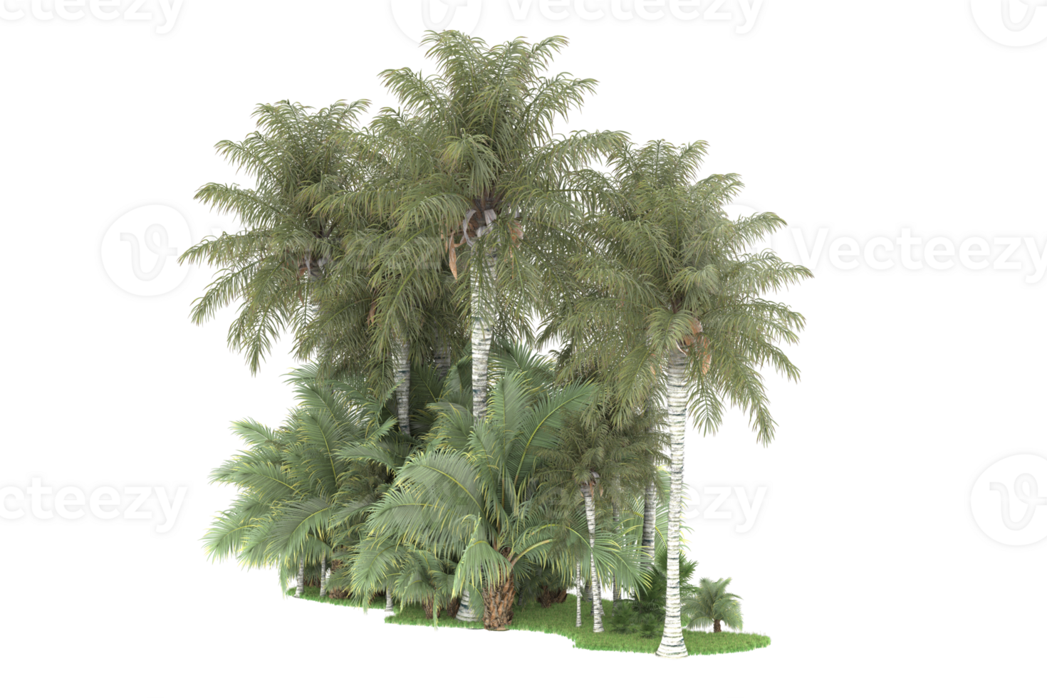 Realistic forest isolated on transparent background. 3d rendering - illustration png