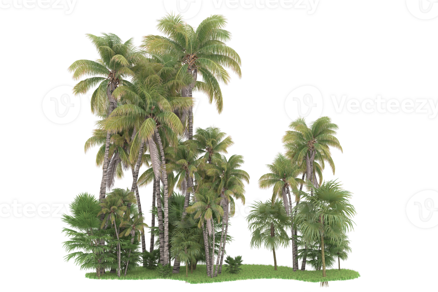 Realistic forest isolated on transparent background. 3d rendering - illustration png