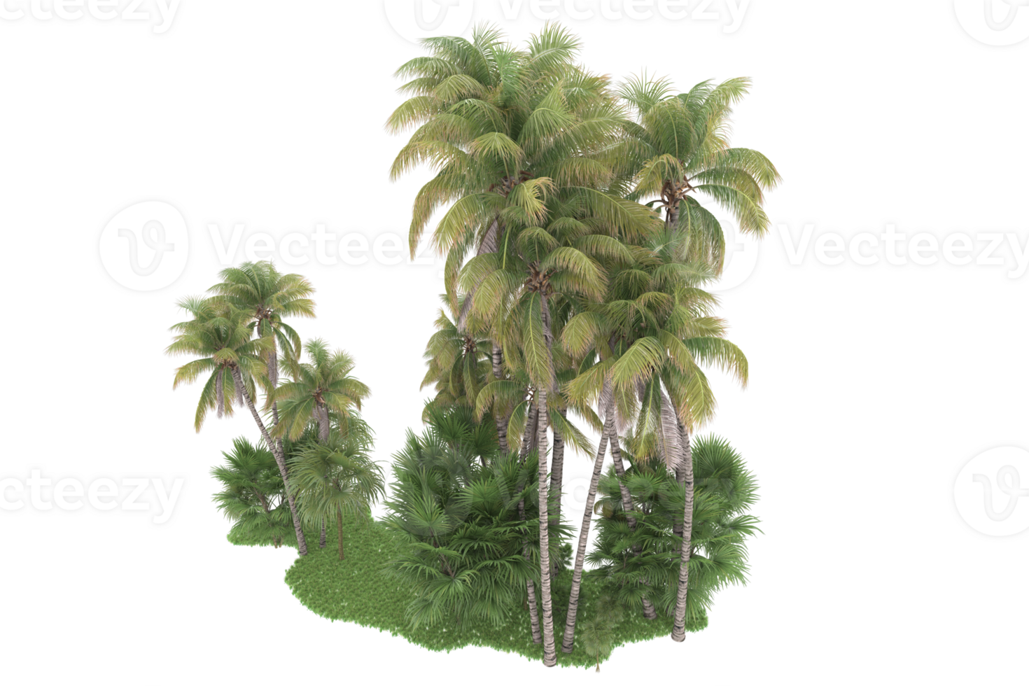 Realistic forest isolated on transparent background. 3d rendering - illustration png