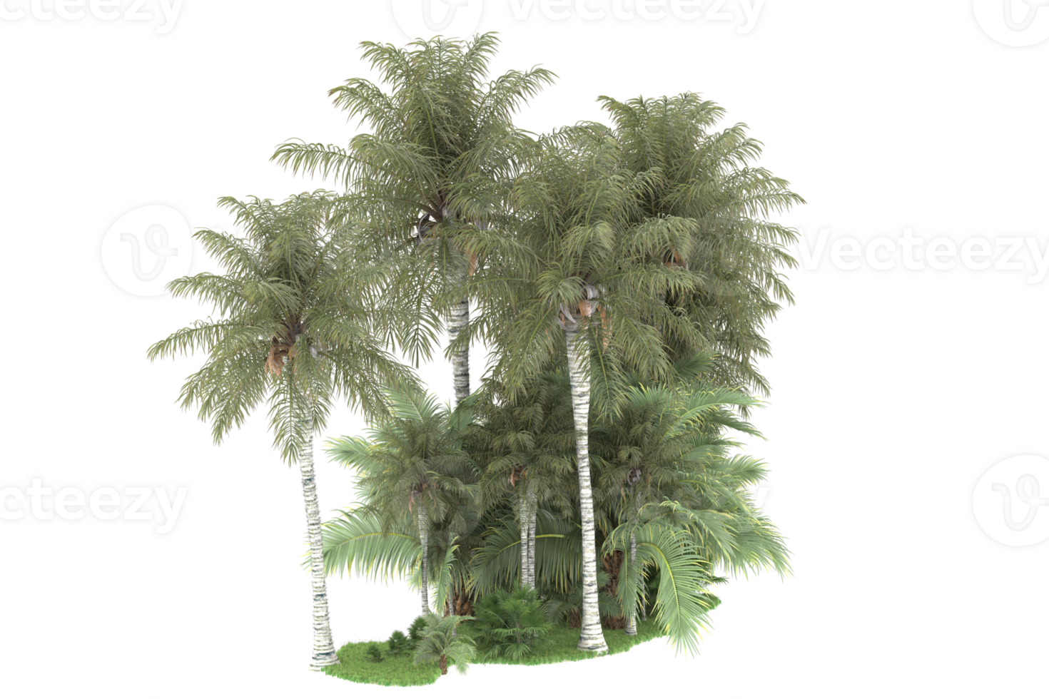 Realistic forest isolated on transparent background. 3d rendering - illustration png