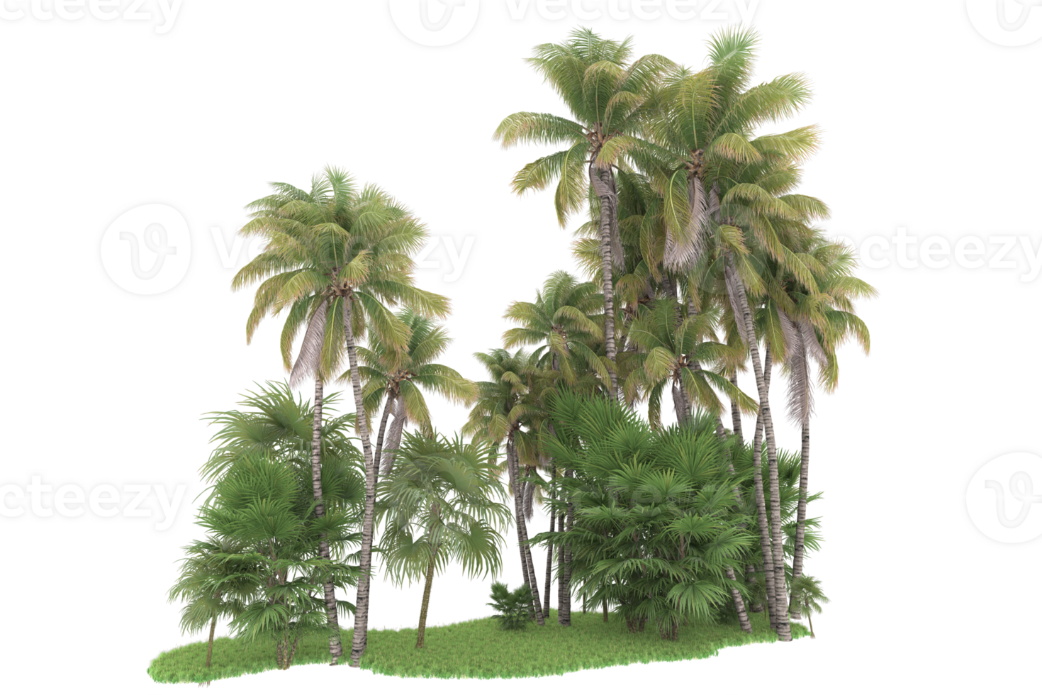 Realistic forest isolated on transparent background. 3d rendering - illustration png