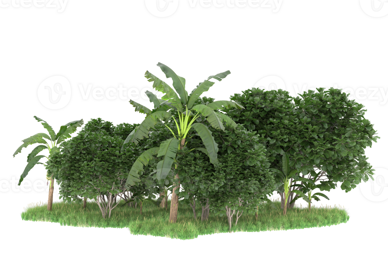 Realistic forest isolated on transparent background. 3d rendering - illustration png