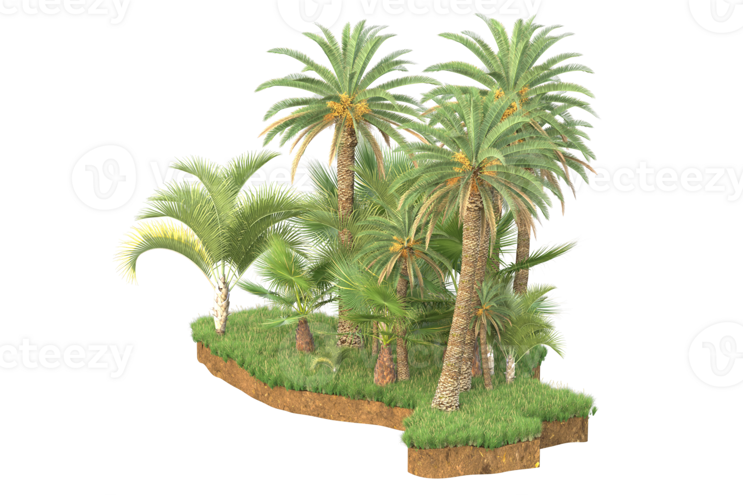 realistico foresta isolato su trasparente sfondo. 3d interpretazione - illustrazione png