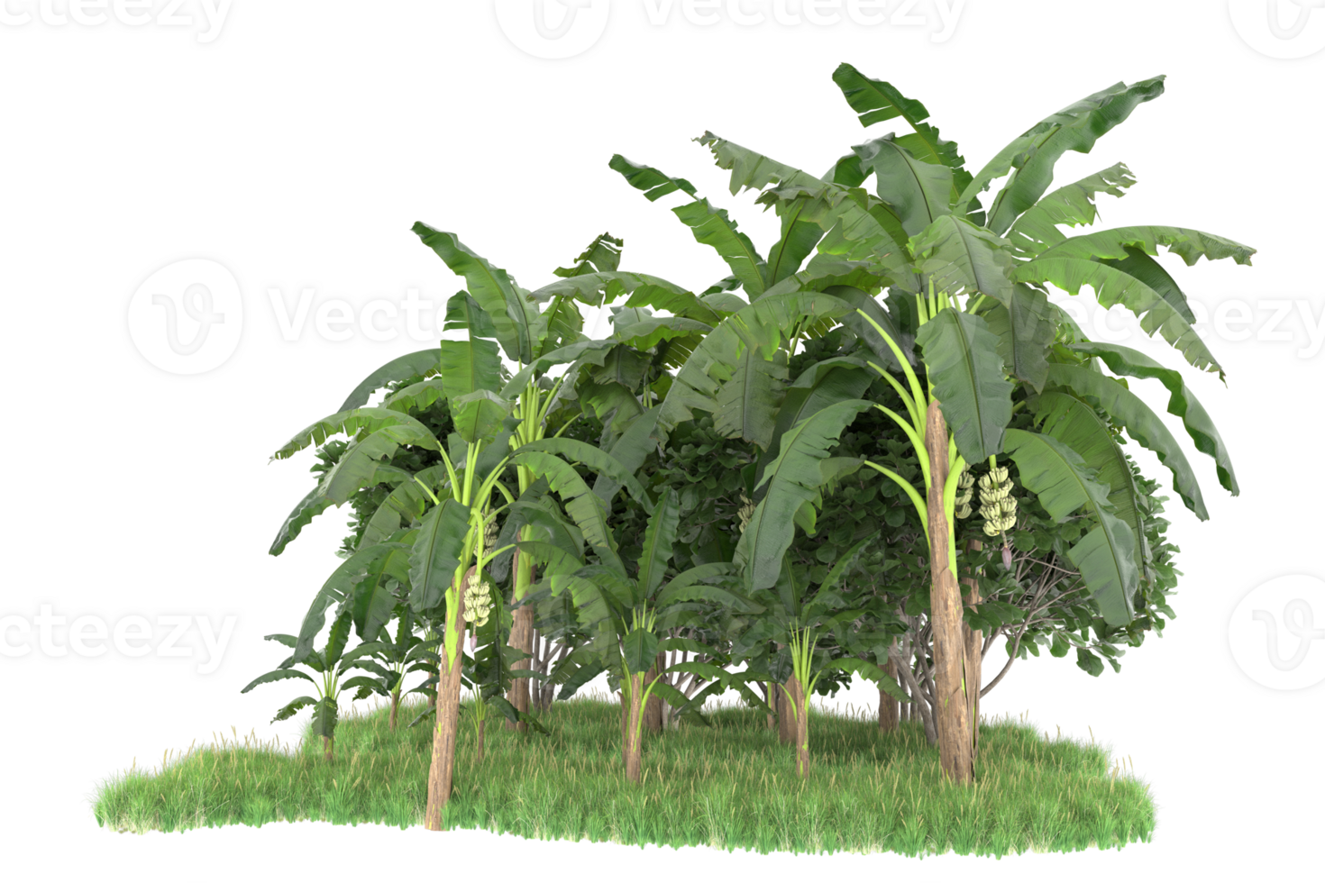 Realistic forest isolated on transparent background. 3d rendering - illustration png