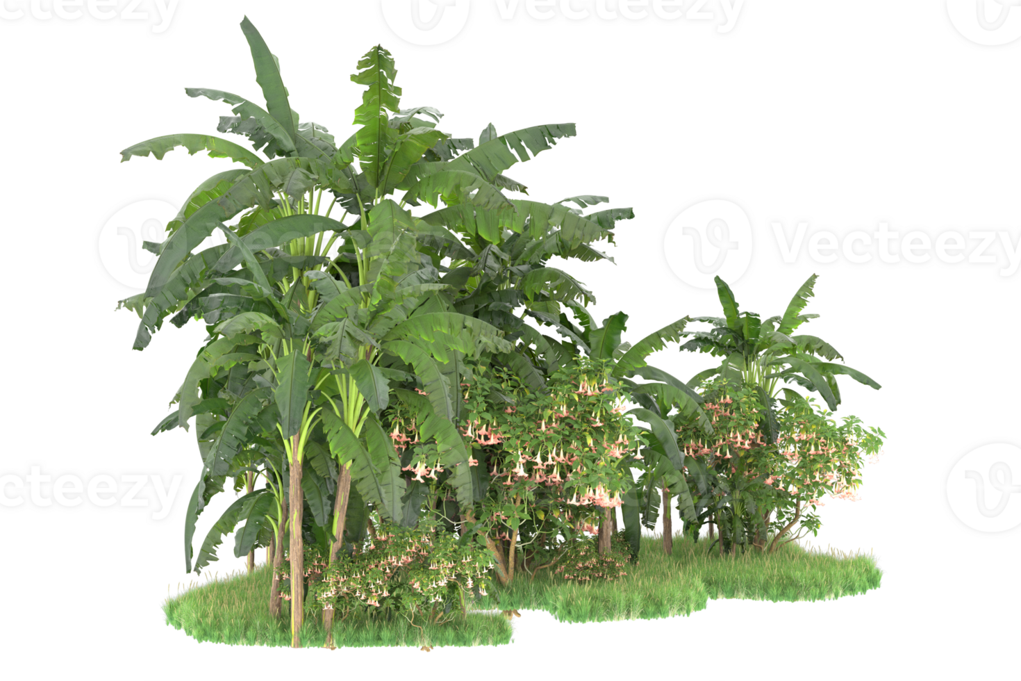 Realistic forest isolated on transparent background. 3d rendering - illustration png