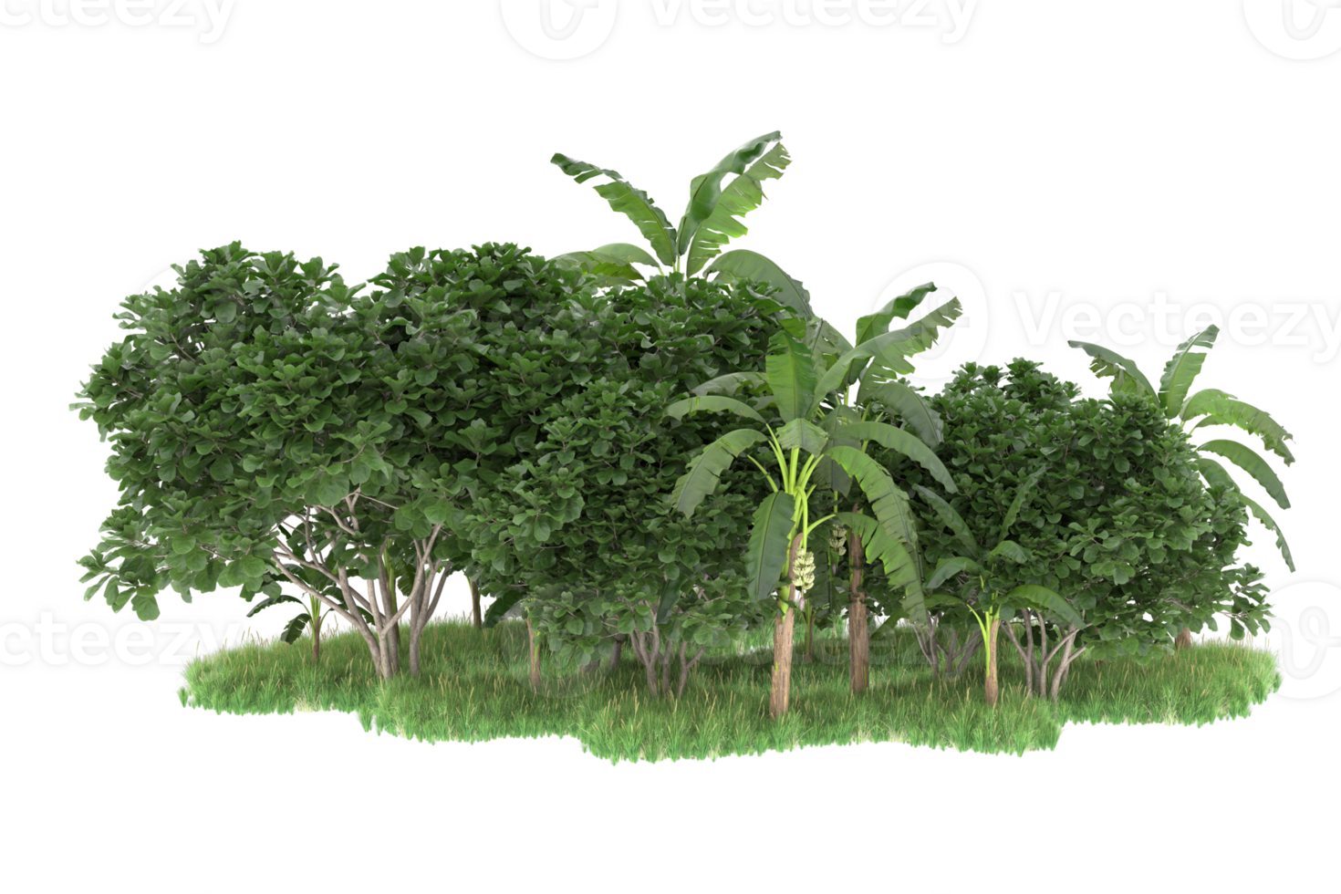 Realistic forest isolated on transparent background. 3d rendering - illustration png
