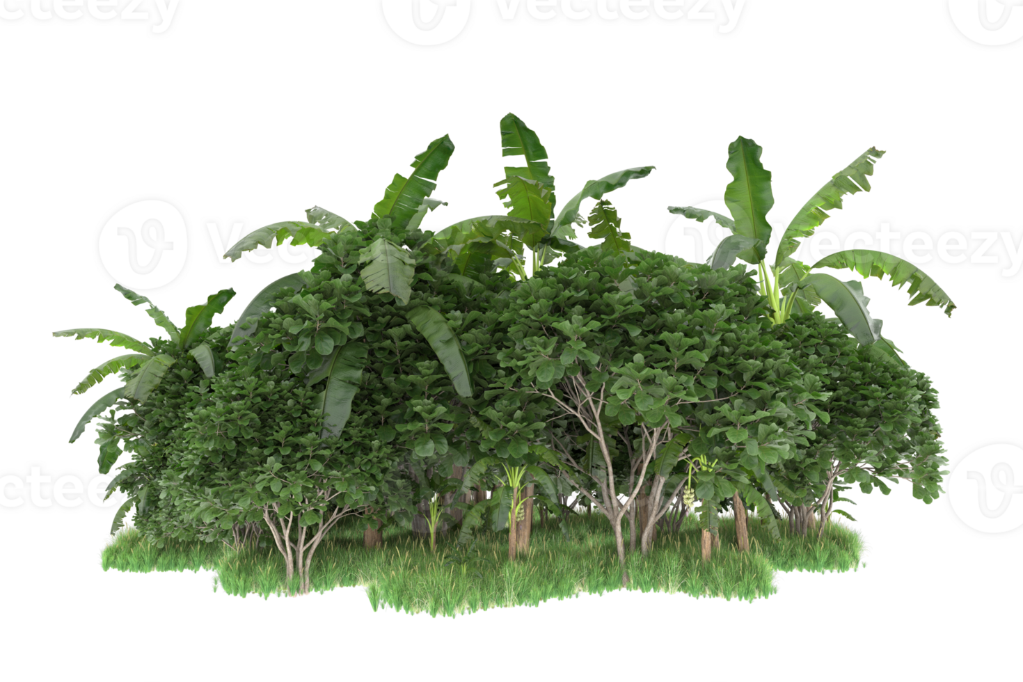 Realistic forest isolated on transparent background. 3d rendering - illustration png