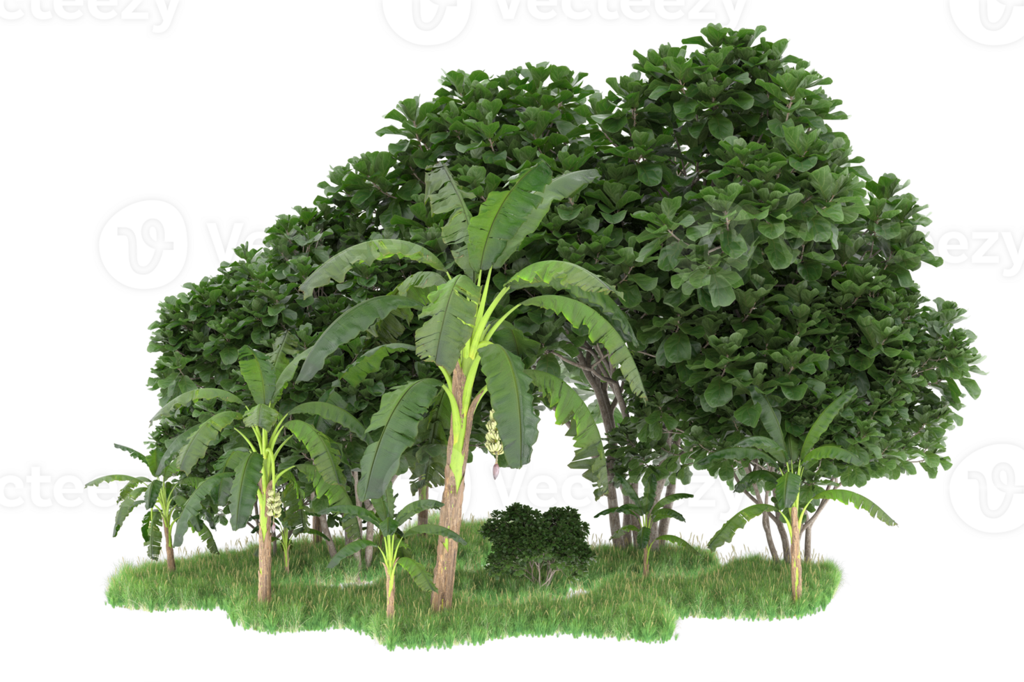 Realistic forest isolated on transparent background. 3d rendering - illustration png