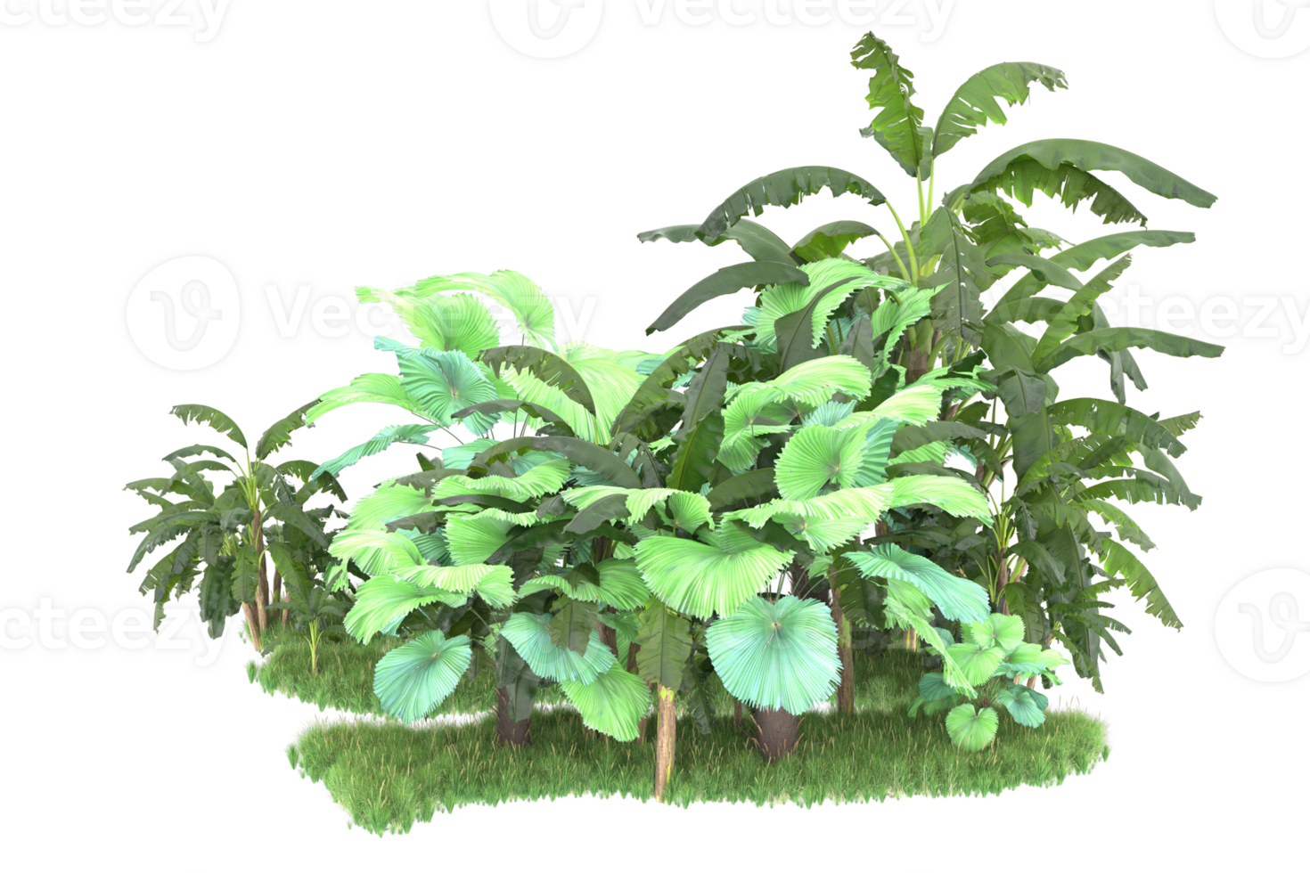 Realistic forest isolated on transparent background. 3d rendering - illustration png