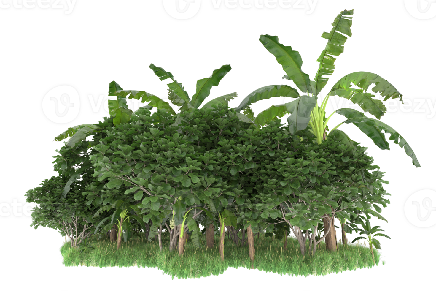 Realistic forest isolated on transparent background. 3d rendering - illustration png