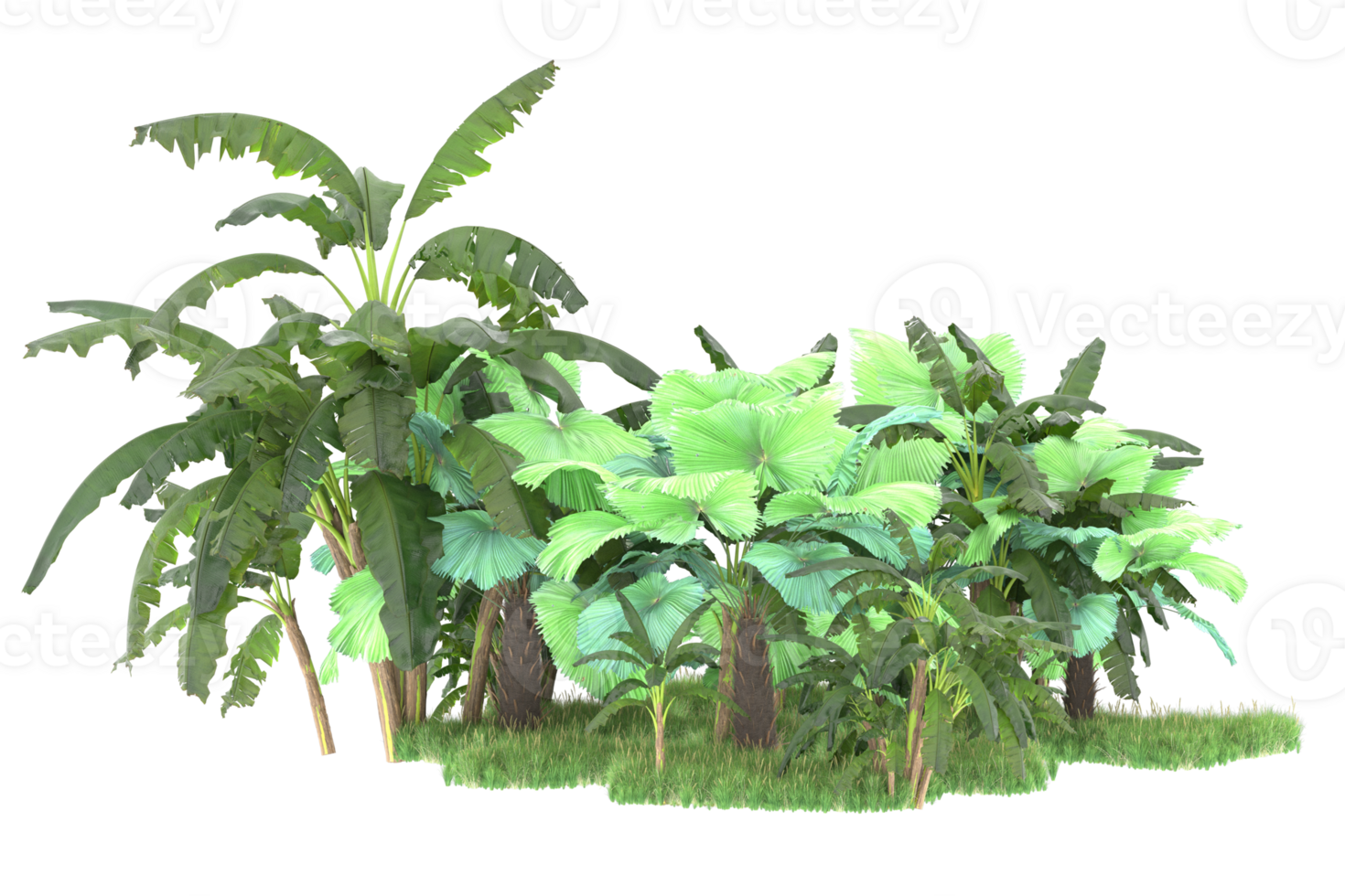 Realistic forest isolated on transparent background. 3d rendering - illustration png