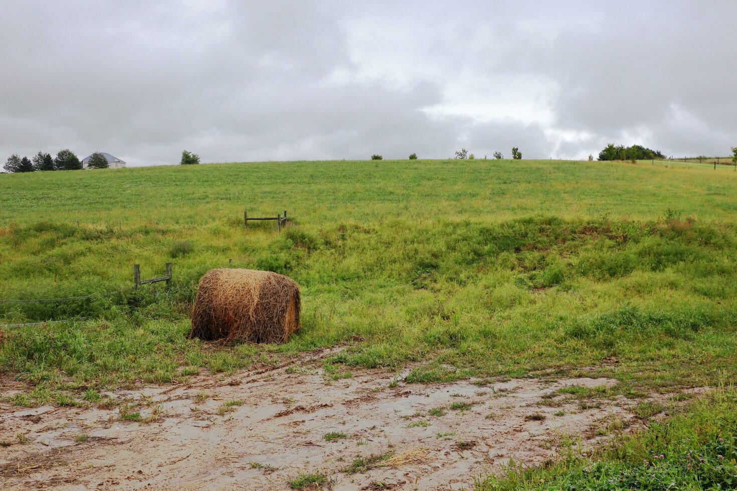 Rolled-Up Bale of Hay in Field photo