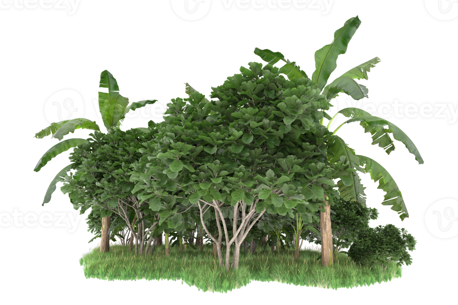 Realistic forest isolated on transparent background. 3d rendering - illustration png