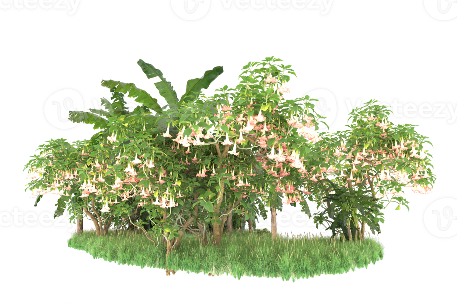 Realistic forest isolated on transparent background. 3d rendering - illustration png