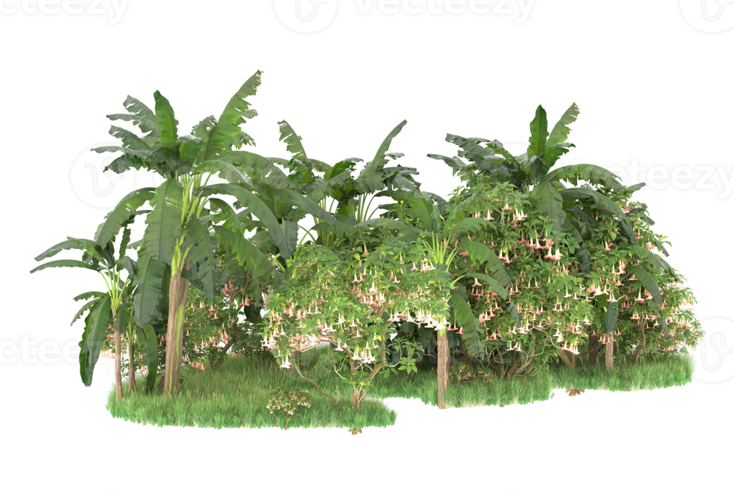 Realistic forest isolated on transparent background. 3d rendering - illustration png